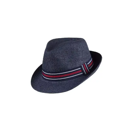 Pălărie Cowboy din Paie tip Panama WILD WEST Nardo Denim · Albastru