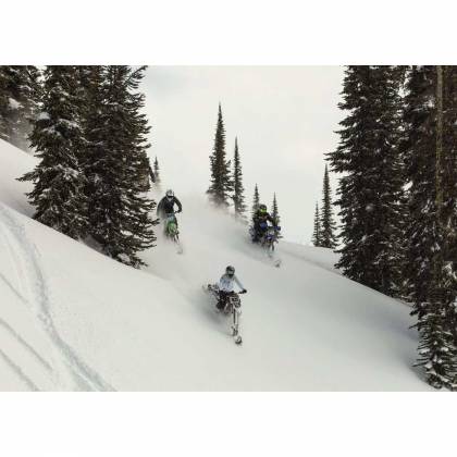 Geacă Snowmobil Damă FXR RACING EDGE · Negru / Albastru / Roz  - 8