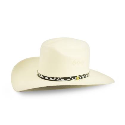 Pălărie Cowboy din Paie WILD WEST Americano Sombrero Lona Crudo IN4011 
