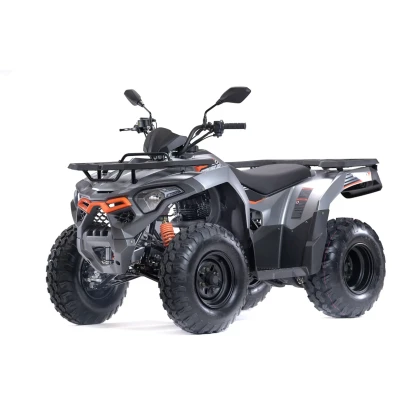 ATV LONCIN XWOLF 200, 196.2cc, 14.3 CP, 10.5 kW, 2WD, T3b · Negru  - 1
