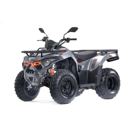 ATV LONCIN XWOLF 200, 196.2cc, 14.3 CP, 10.5 kW, 2WD, T3b · Portocaliu  - 1