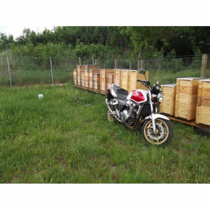 Toba esapament Bodis Honda CB 1300 GP1  - 4